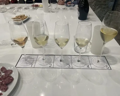 ワインテイスティング Cava